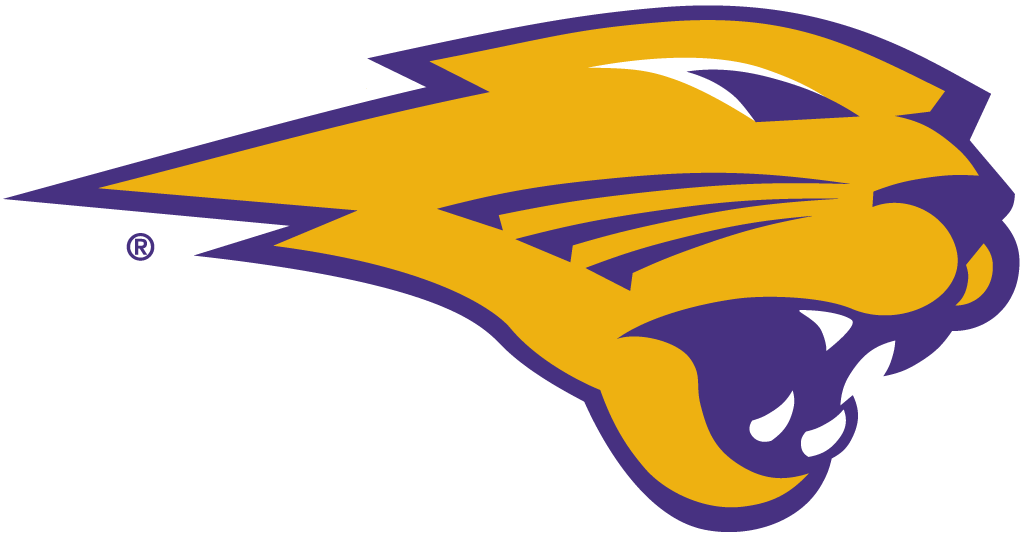 Northern Iowa Panthers 2002-Pres Partial Logo iron on transfers for fabric